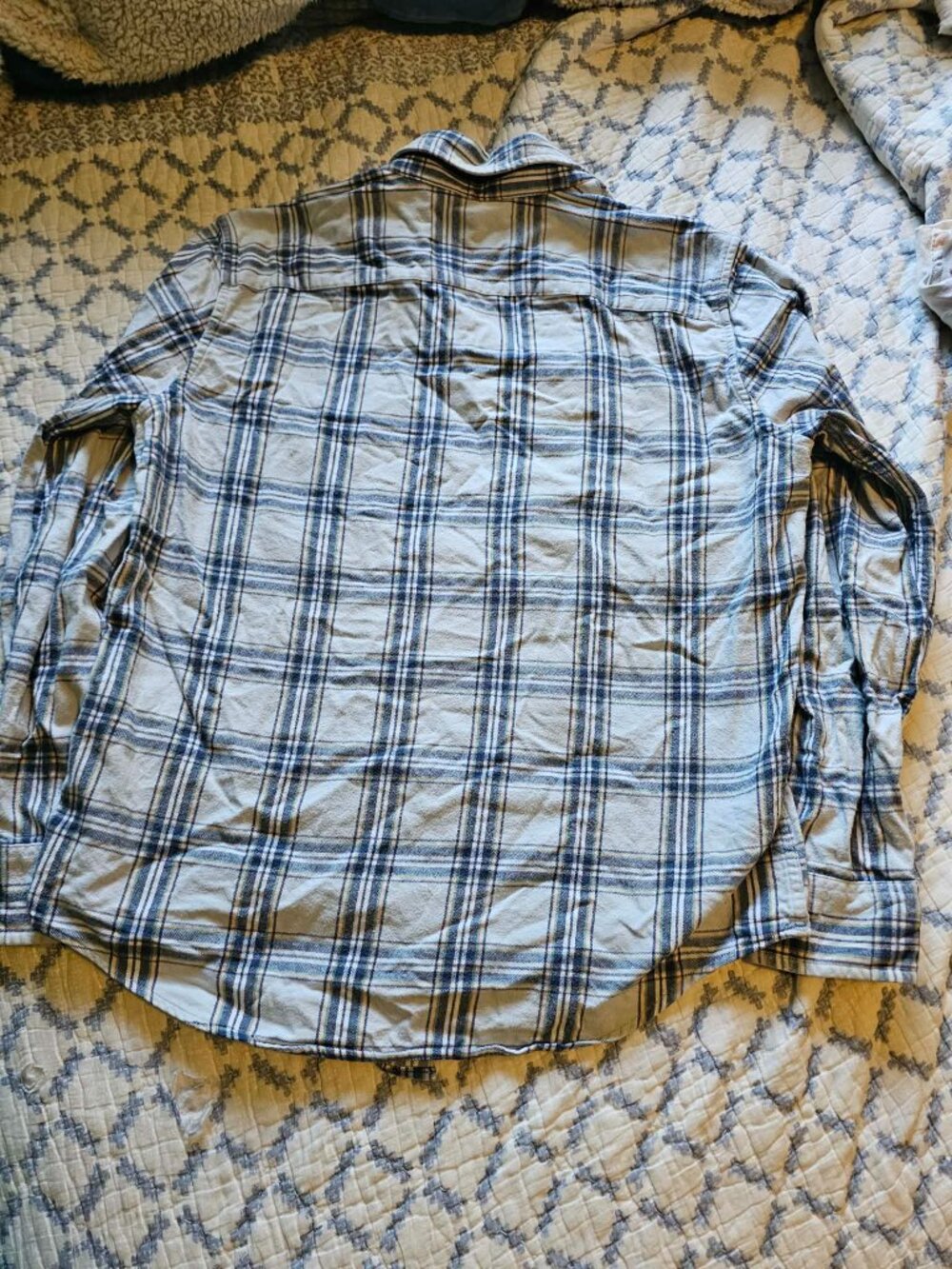 plaid - Picture 2 of 4